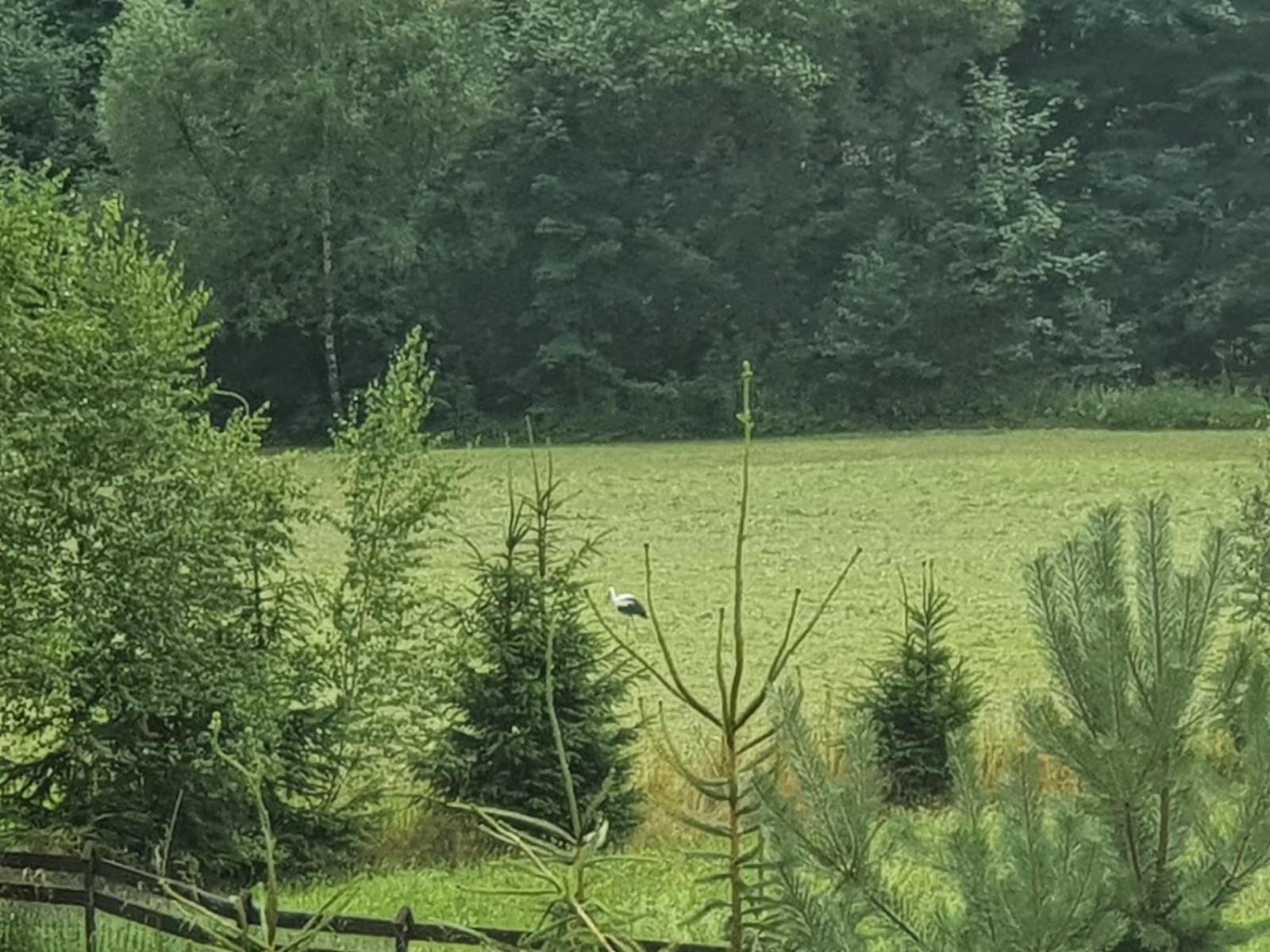 Wellness-Beskydy Villa Prostřední Bečva Kültér fotó