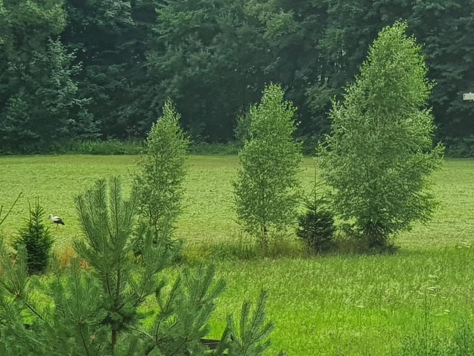 Wellness-Beskydy Villa Prostřední Bečva Kültér fotó